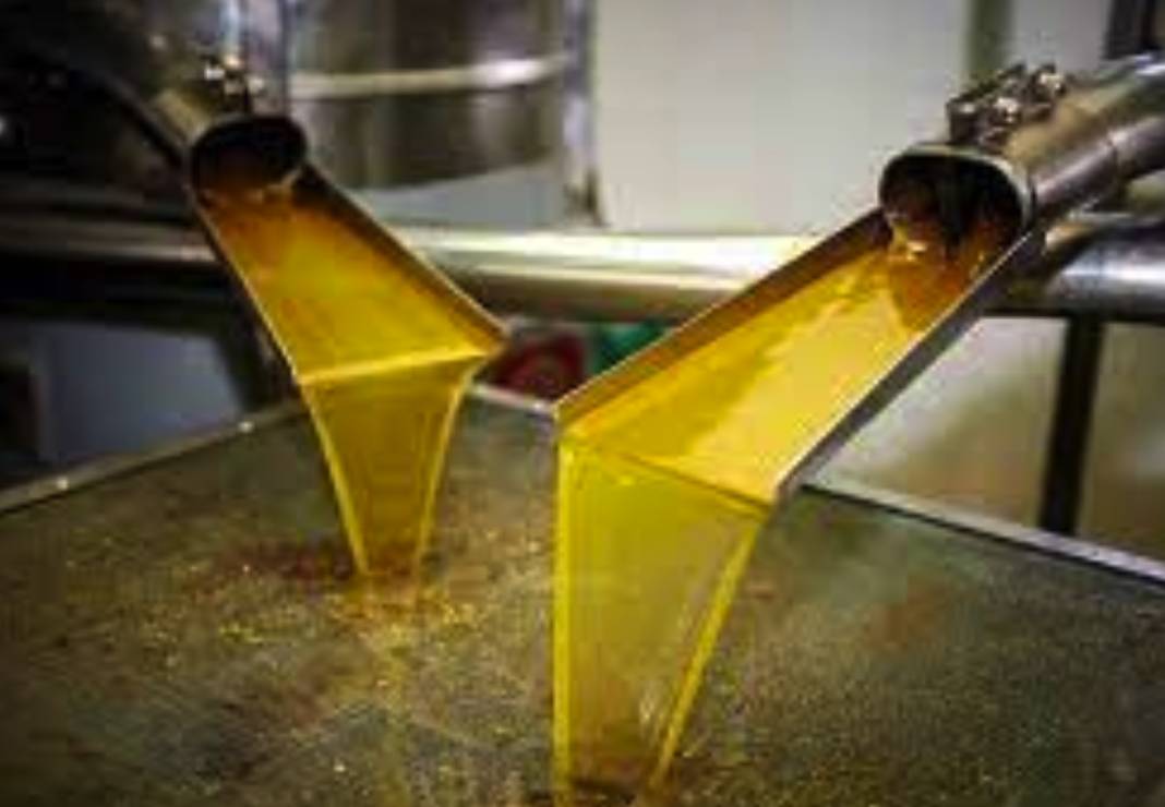 Gaziantep'te Zeytinyağı fiyatının göreceği rakam açıklandı. Zeytinyağı'nın Tenekesi Gaziantep'te En Az 6 Bin Lira Olacak! 3